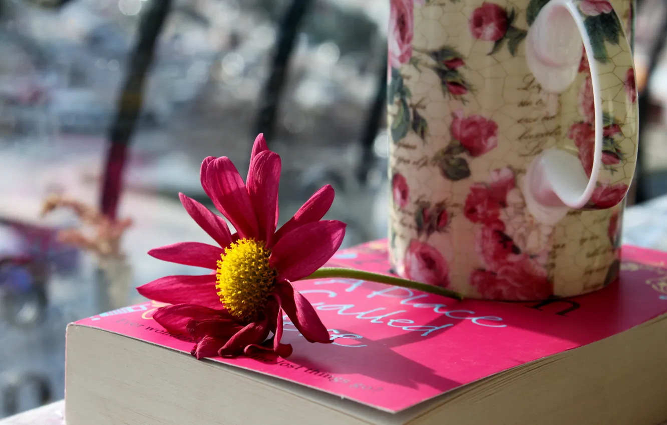 Фото обои цветок, фото, лепестки, кружка, чашка, книга, розовые