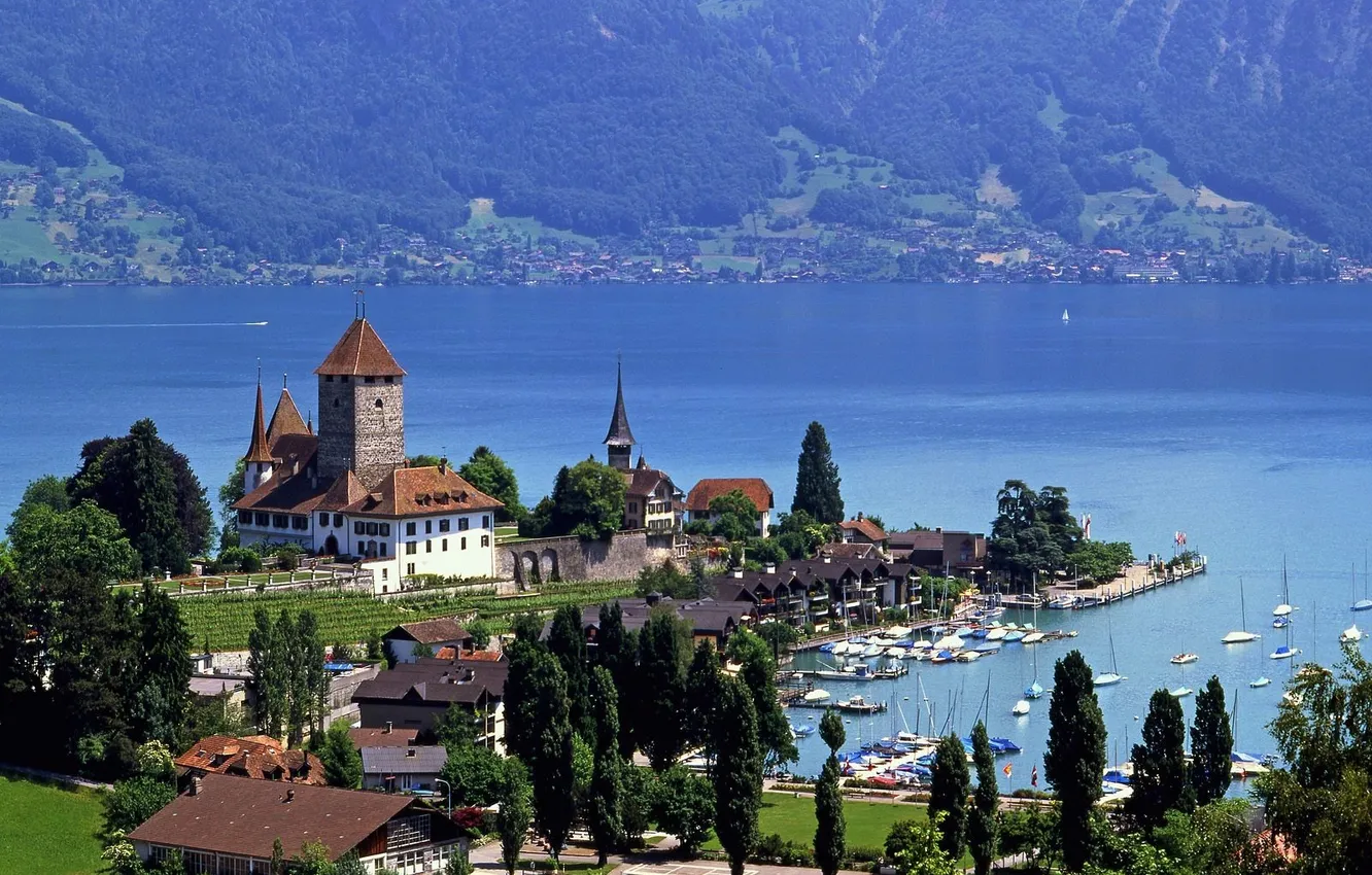 Фото обои озеро, швейцария, шпиц