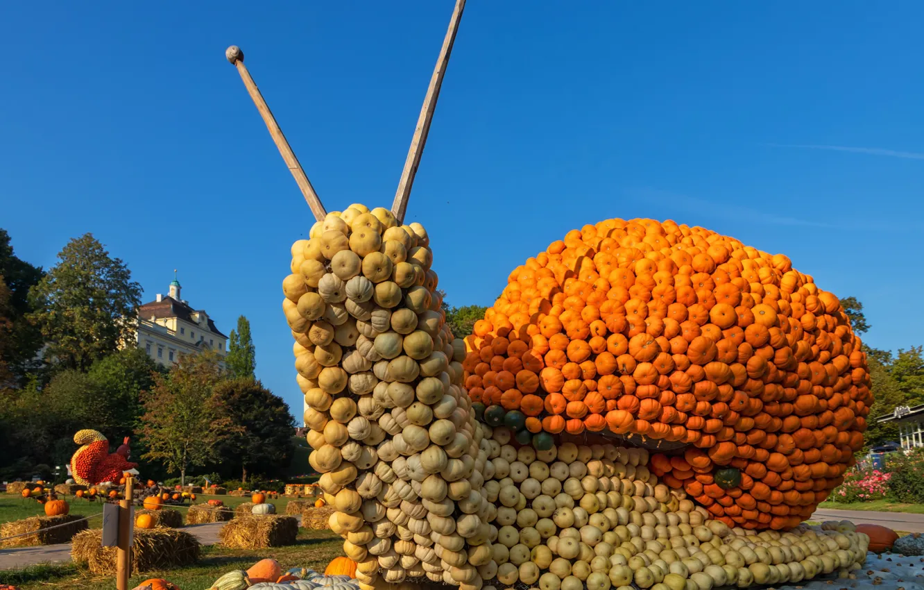 Фото обои фото, Дизайн, Германия, Тыква, Улитка, Ludwigsburg Pumpkin Festival