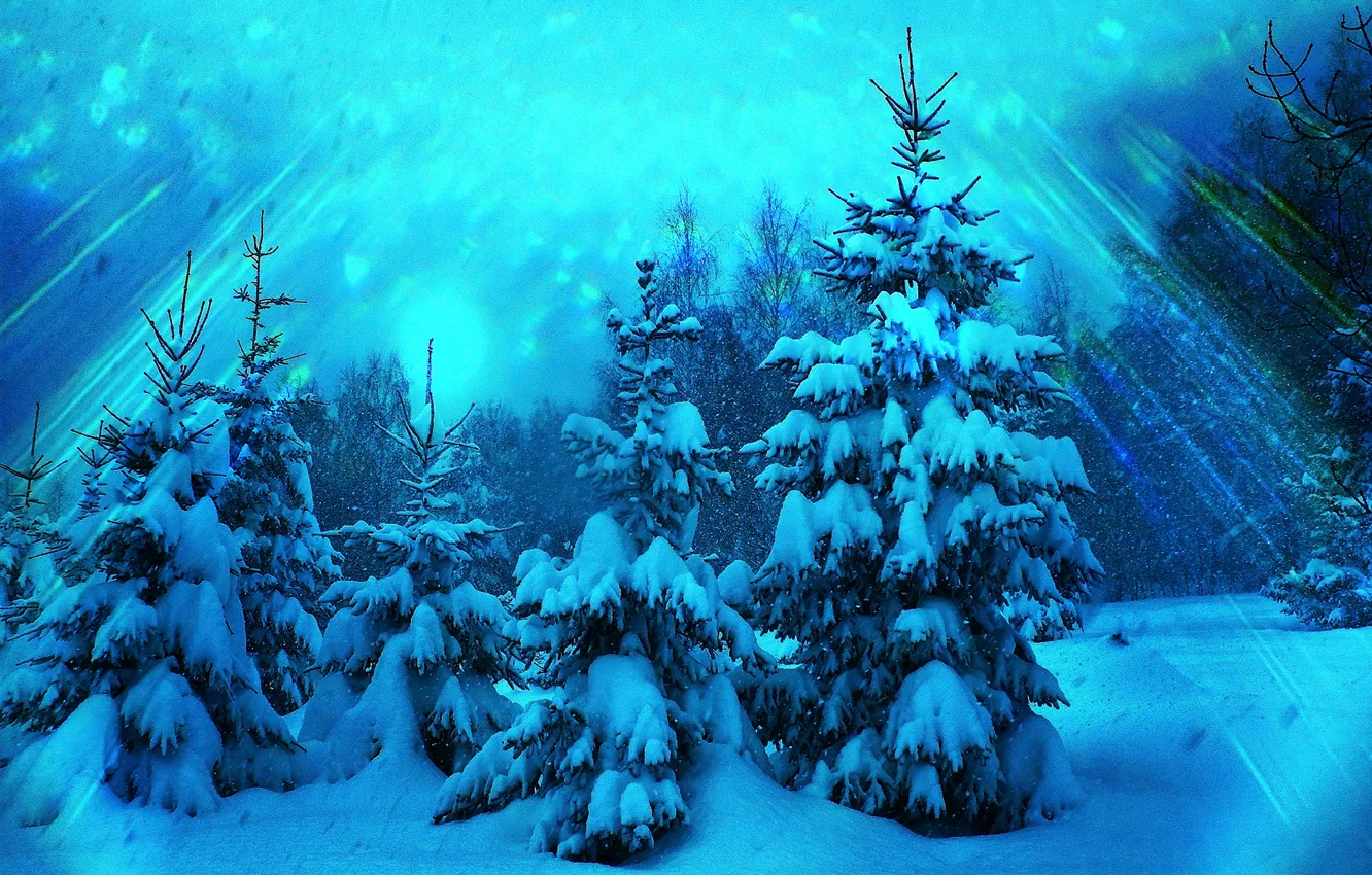Фото обои зима, лес, лучи, снег, деревья, блики, синева, обработка