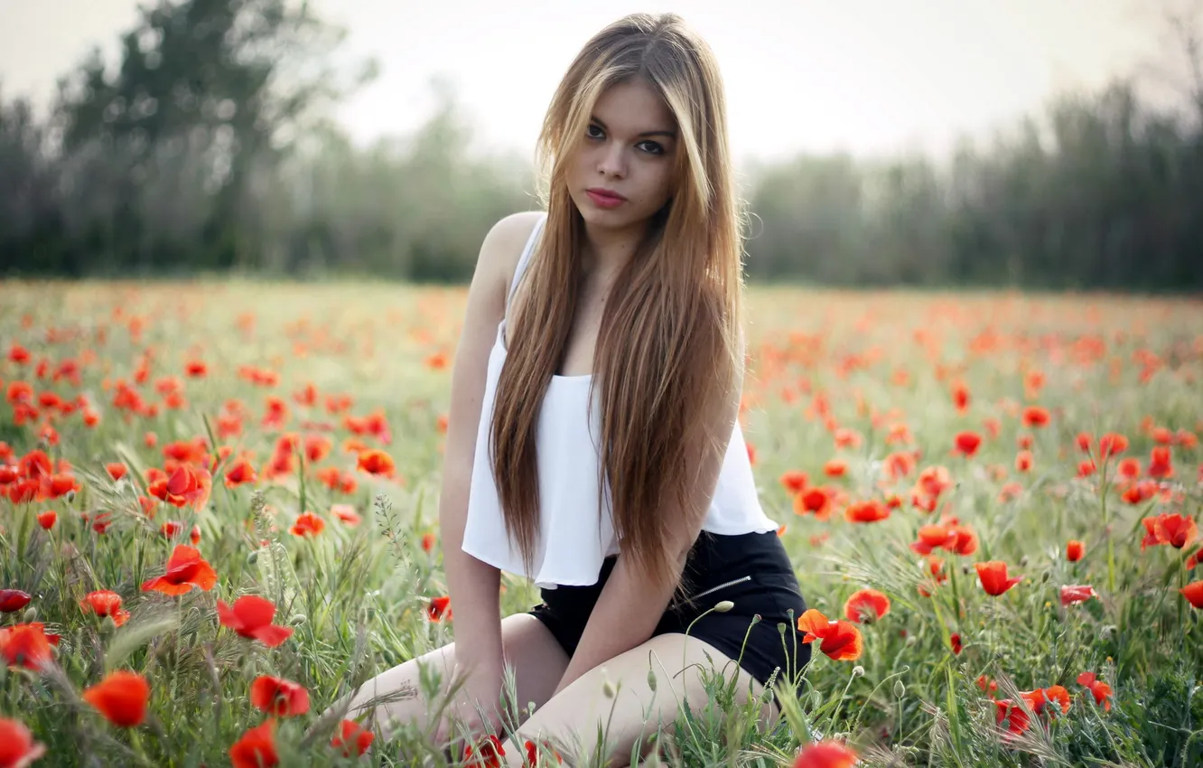 Фото обои поле, девушка, маки