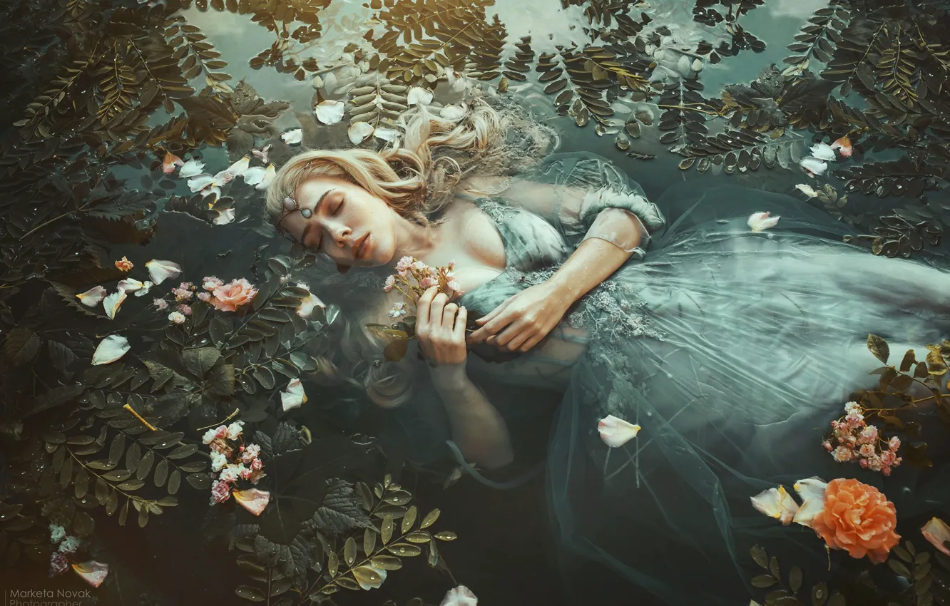 Фото обои листья, вода, девушка, цветы, поза, настроение, ситуация, руки