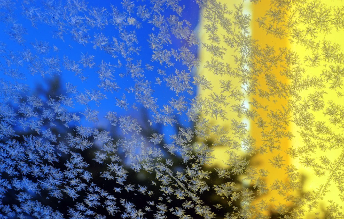 Фото обои стекло, поверхность, мороз