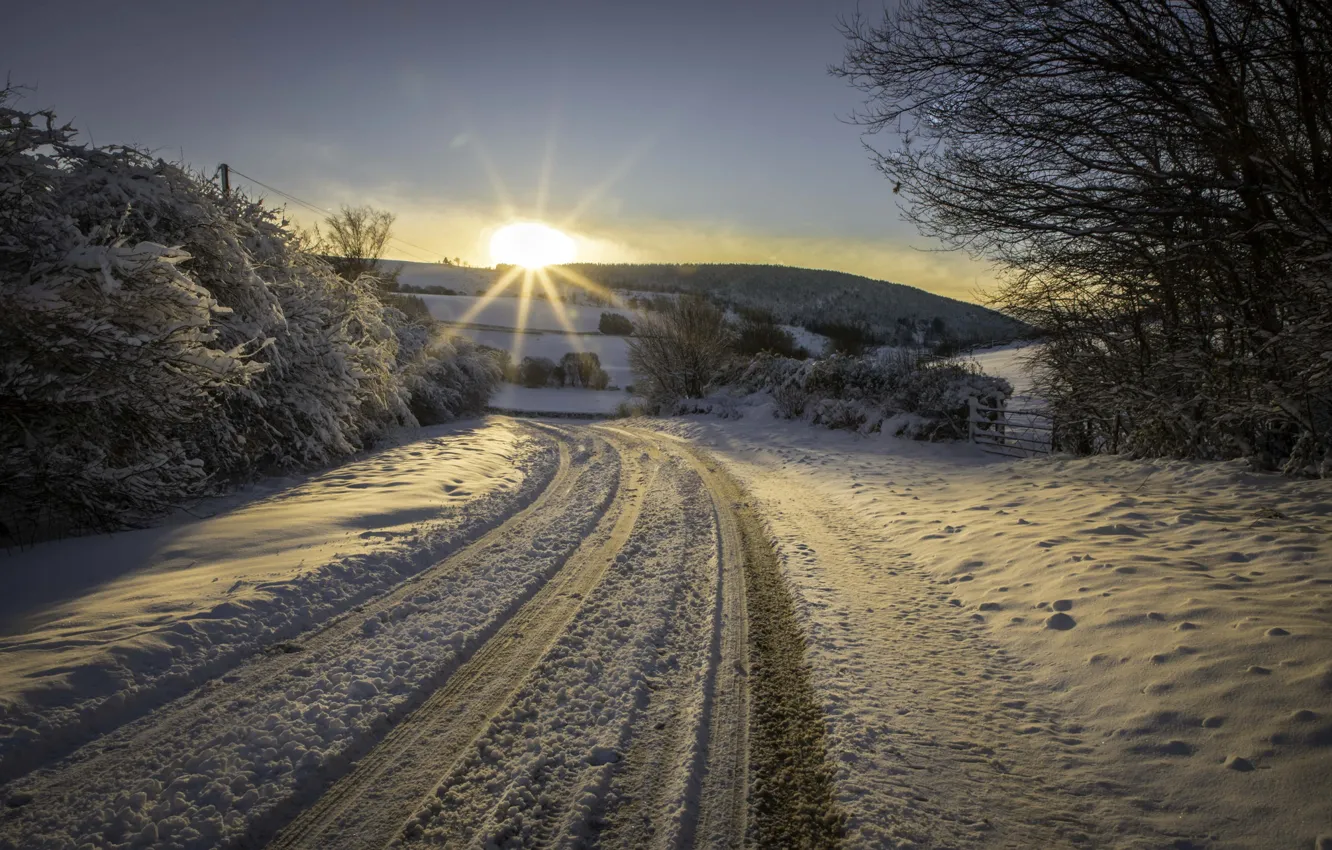 Фото обои зима, дорога, снег, пейзаж