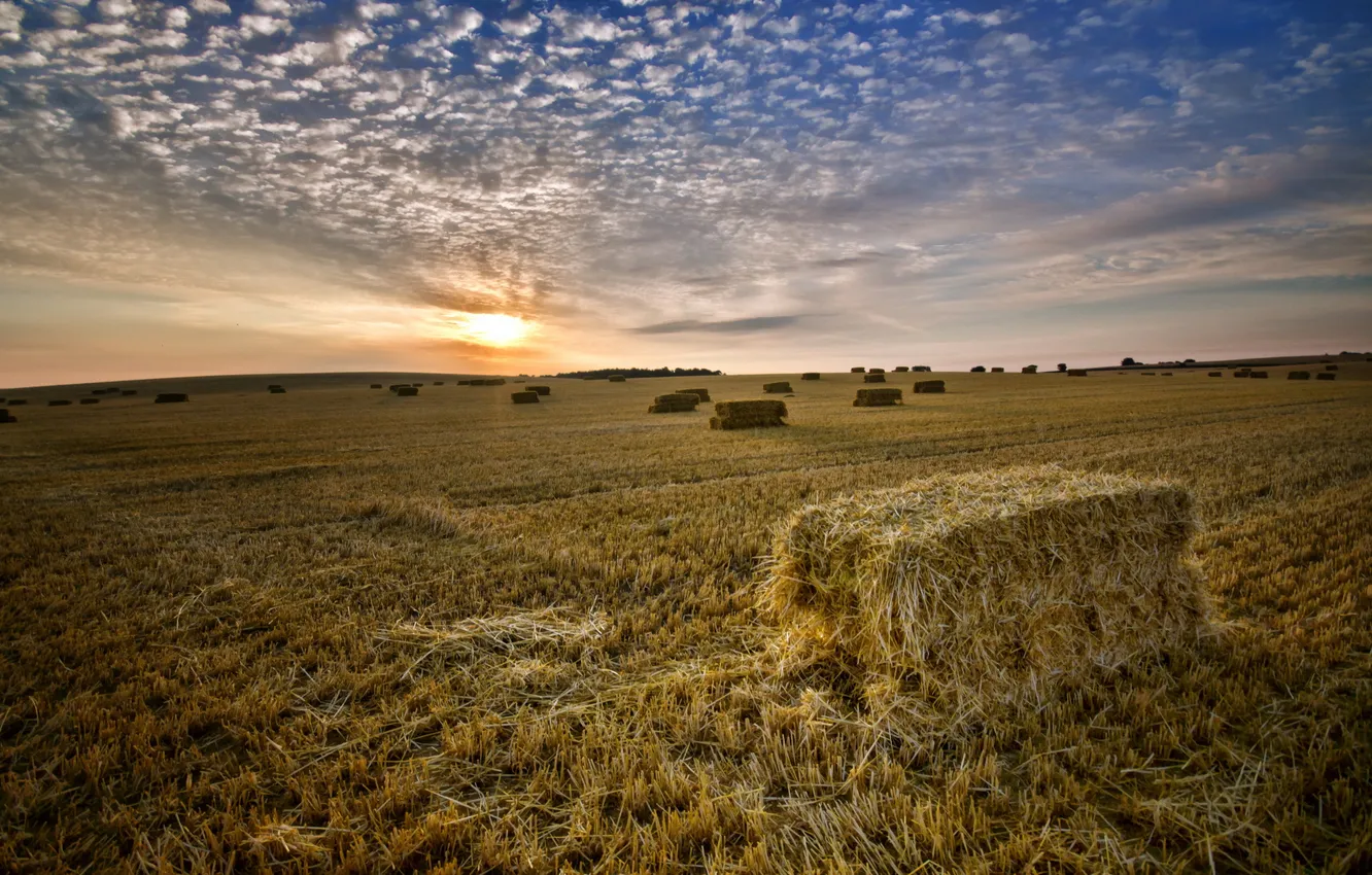 Фото обои поле, пейзаж, закат, сено
