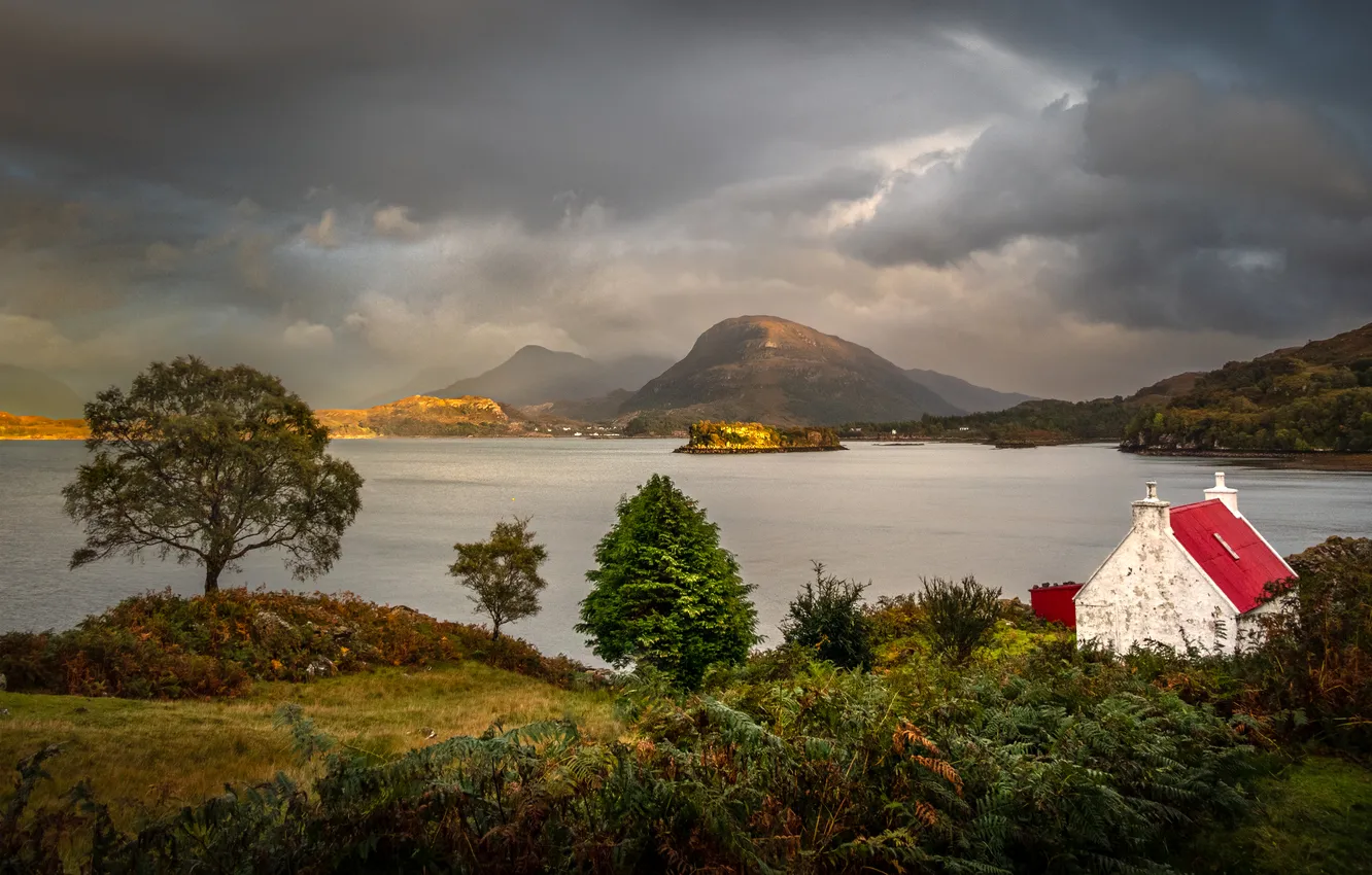 Фото обои берег, домик, водоем