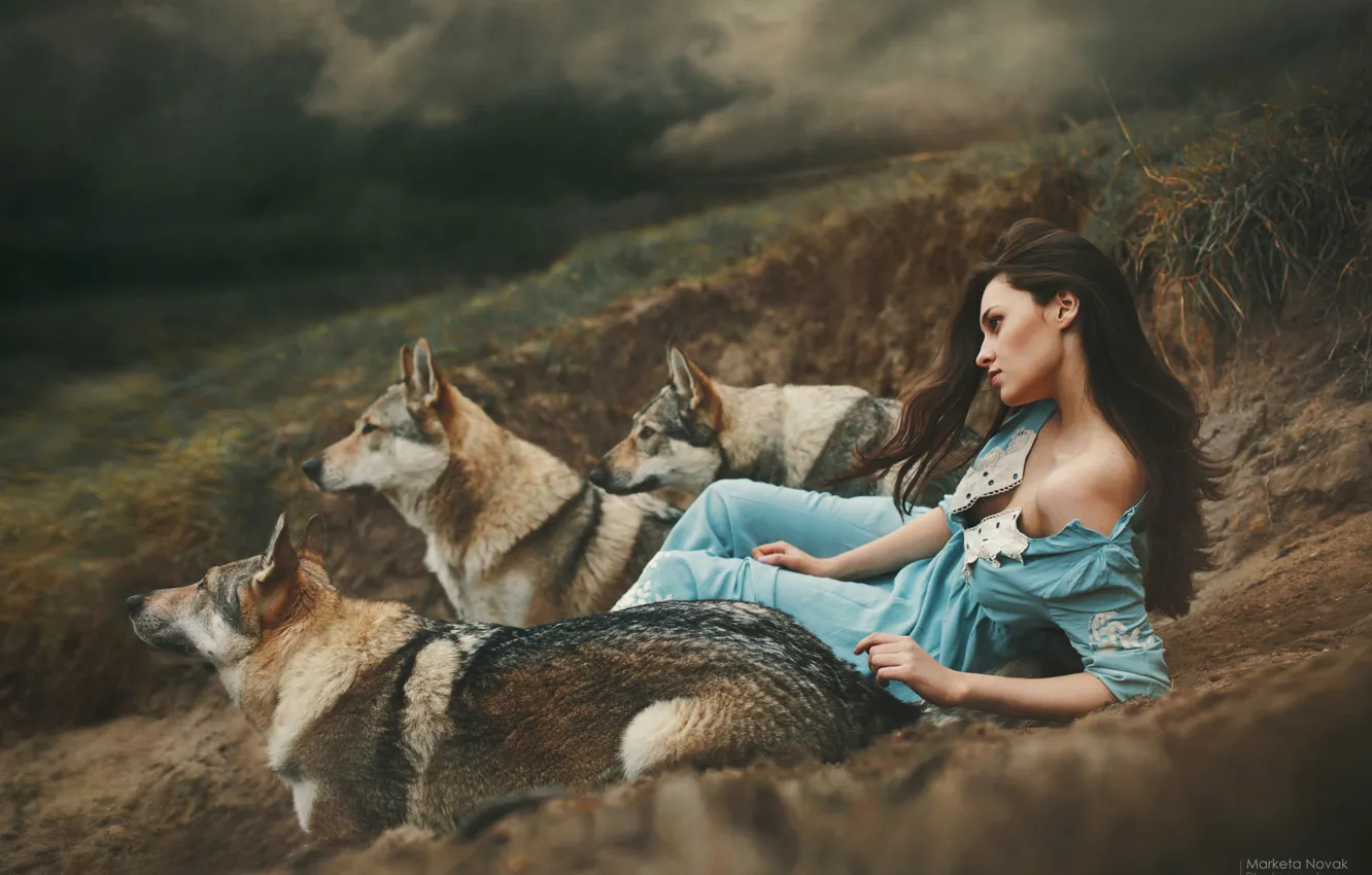 Фото обои взгляд, девушка, поза, фото, платье, волки, Marketa Novak, Эрика Бартошова