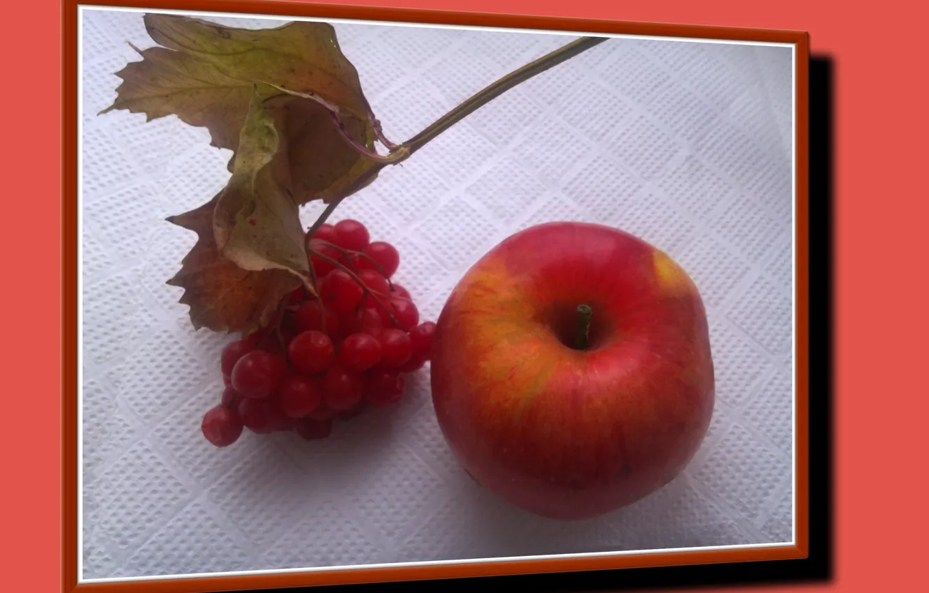 Фото обои листья, яблоко, натюрморт, осенний, калина