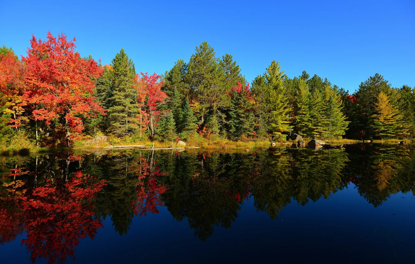 Фото обои осень, лес, небо, деревья, закат, озеро, пруд