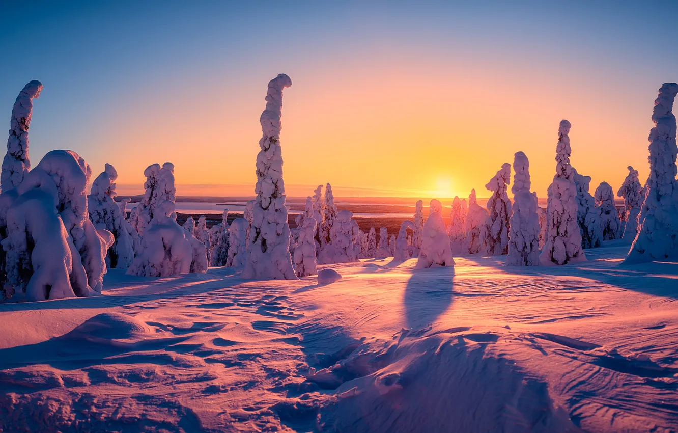 Фото обои зима, закат, вечер, Финляндия, Riisitunturi National Park