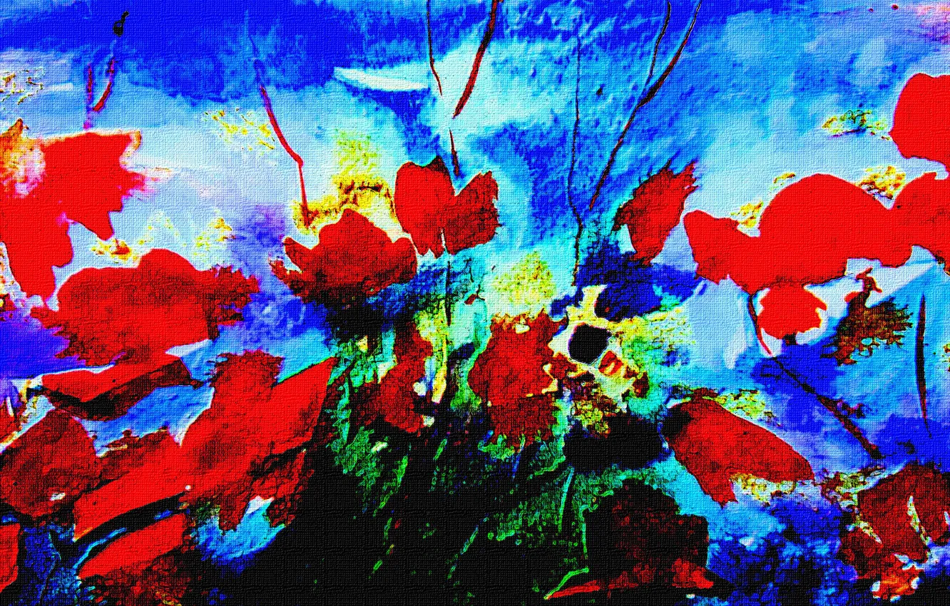 Фото обои цветы, Рисунок, красные, голубой фон