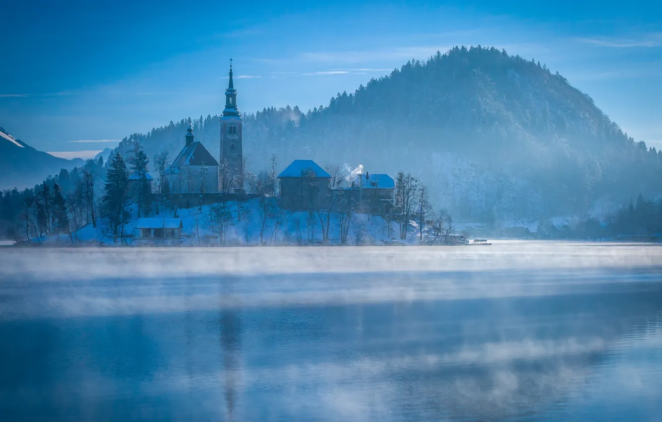 Фото обои холод, зима, лес, солнце, остров, гора, городок, photographer