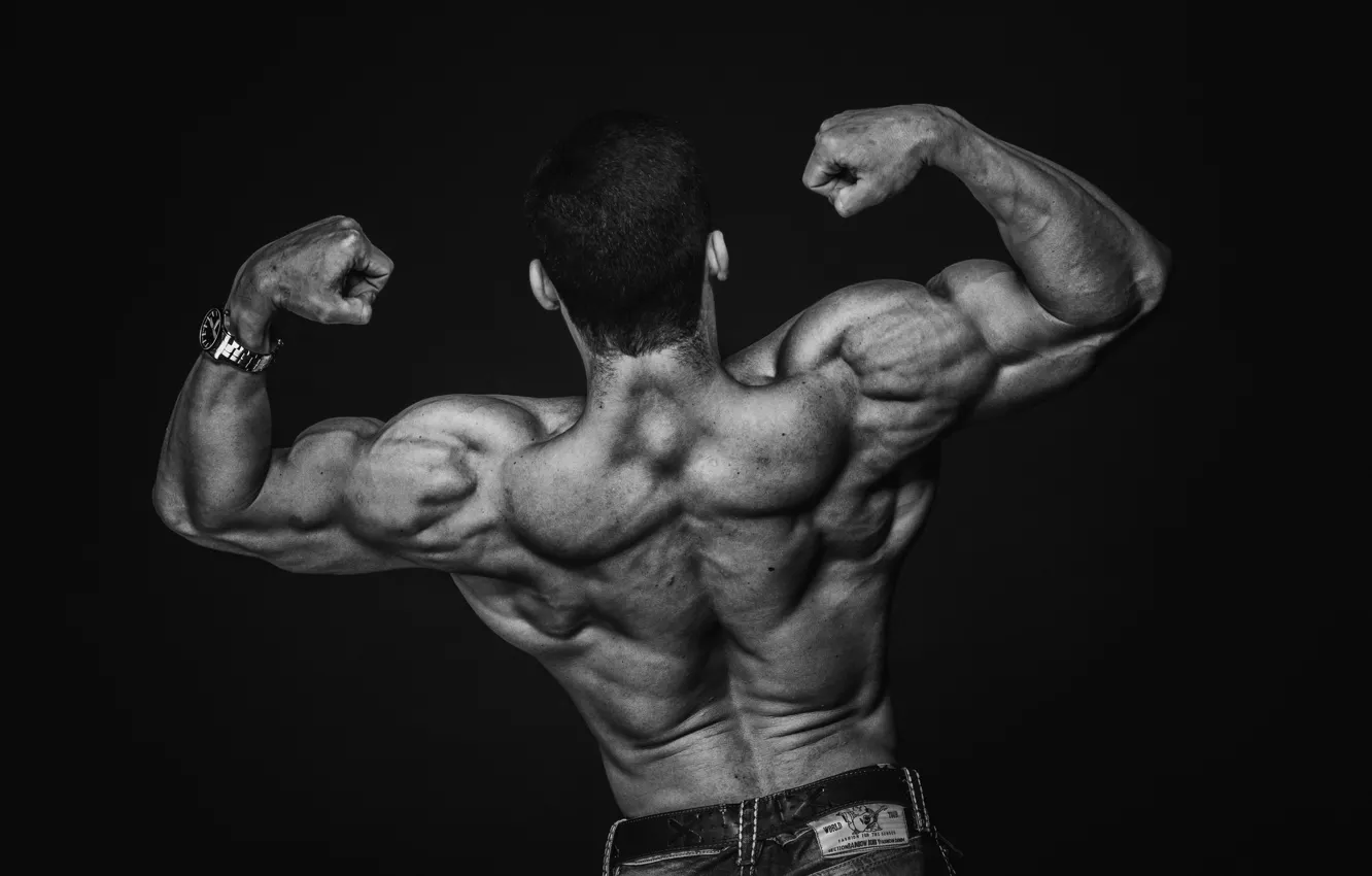 Фото обои поза, спина, muscle, мышцы, Back, бицепс, workout, weight