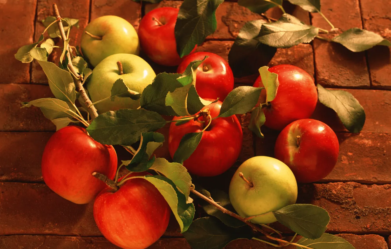 Фото обои листья, яблоки, сочные