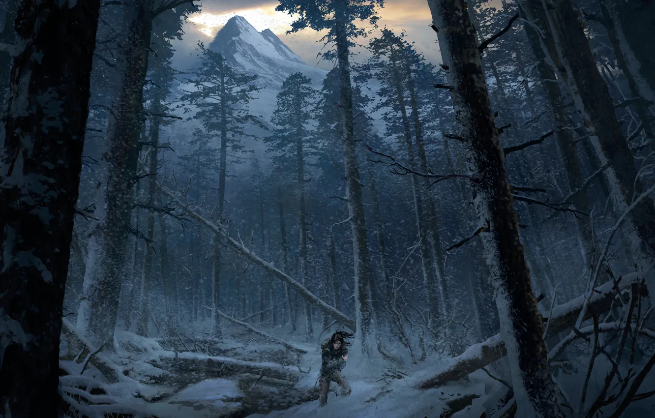Фото обои Девушка, Горы, Снег, Лес, Арт, Tomb raider, Lara croft, Сибирь