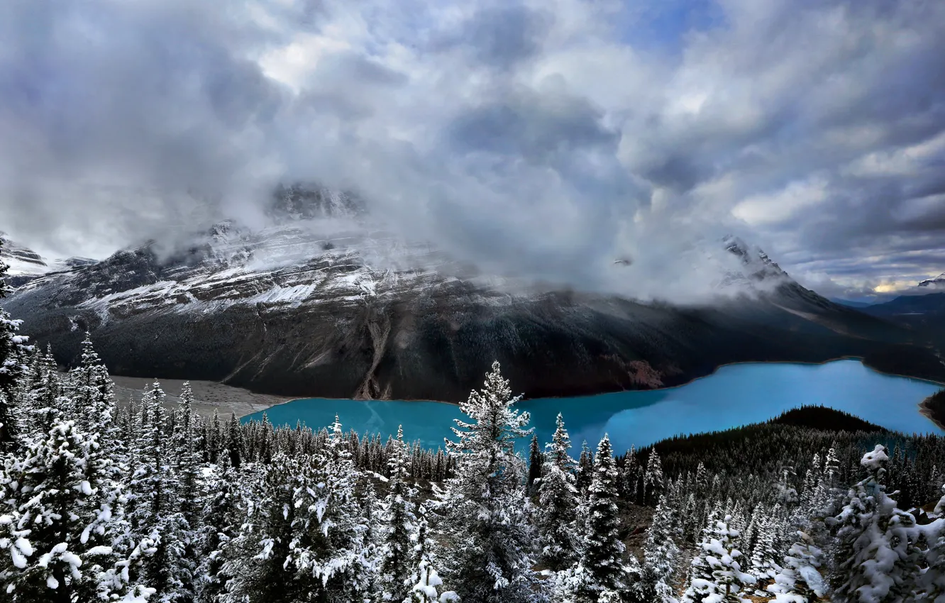 Фото обои Banff National Park, Canada, Peyto Lake