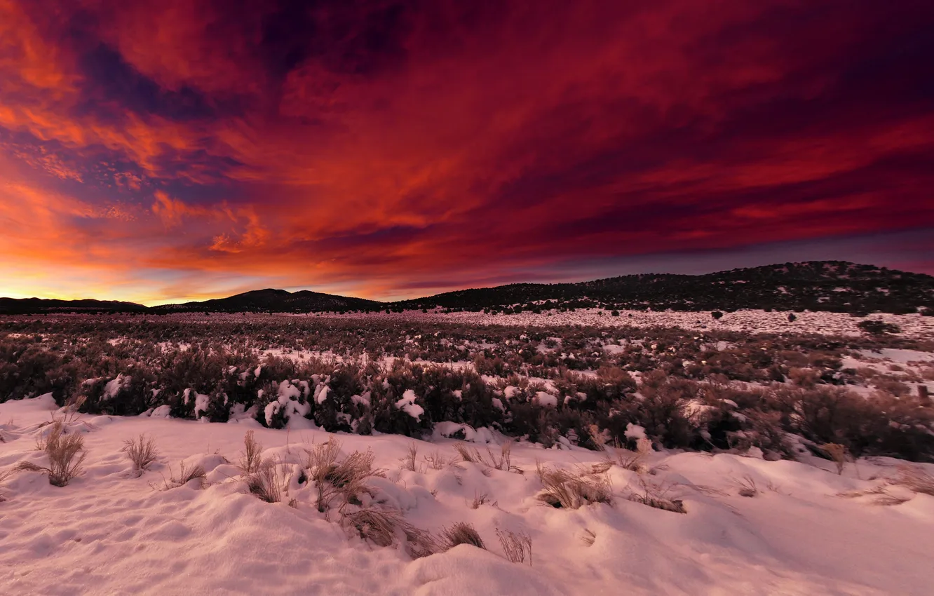 Фото обои зима, поле, небо, облака, снег, пейзаж, закат, восход