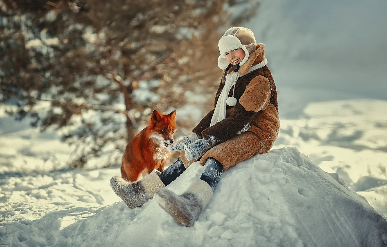 Фото обои зима, снег, природа, животное, лиса, девочка, сугроб, лисица