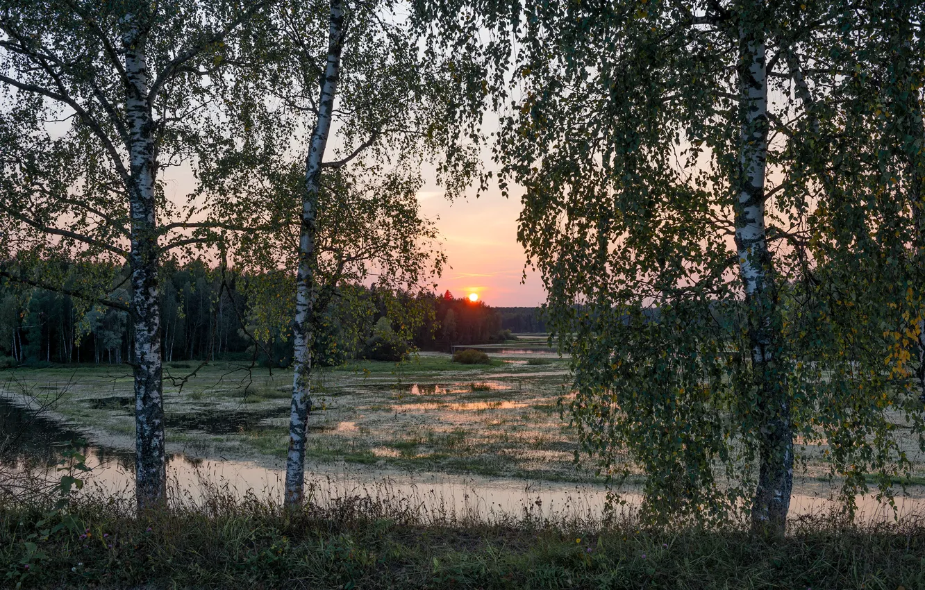 Фото обои деревья, пейзаж, закат, природа, река, леса