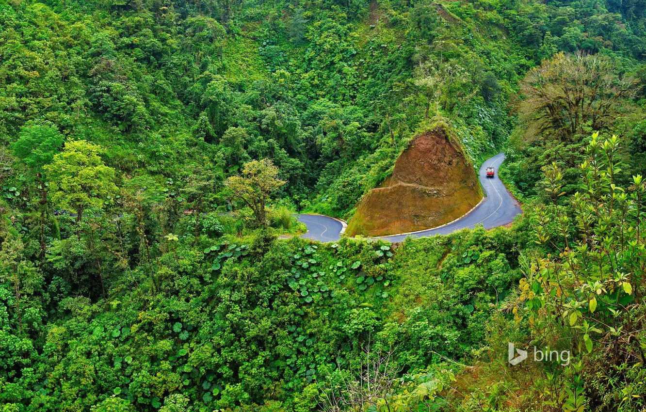 Фото обои дорога, лес, деревья, горы, Коста-Рика, Arenal Volcano National Park