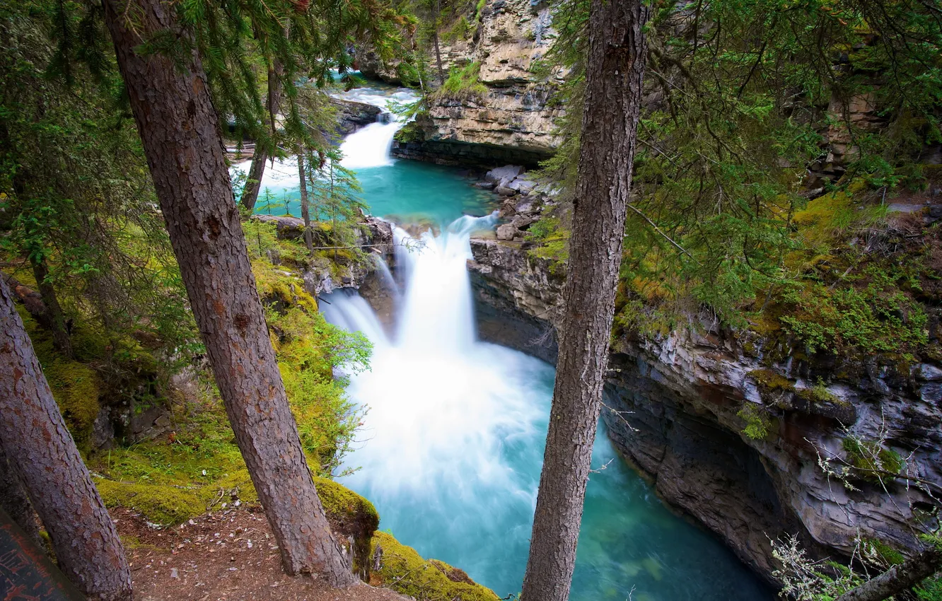 Фото обои река, камни, Канада, Canyon, johnstoun, деревья. скалыб, Kanada