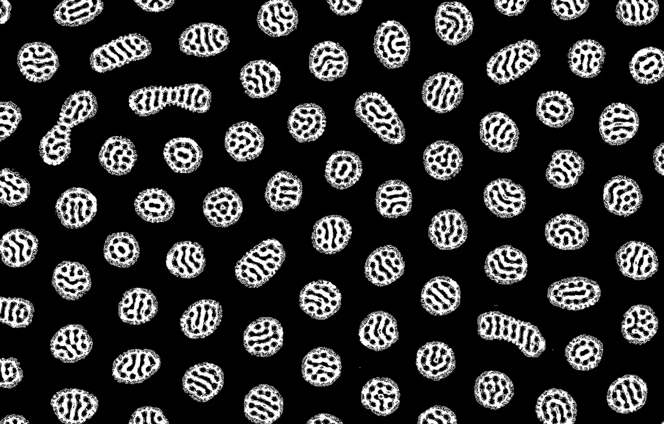 Фото обои чёрный фон, микробы, tatasz, by tatasz