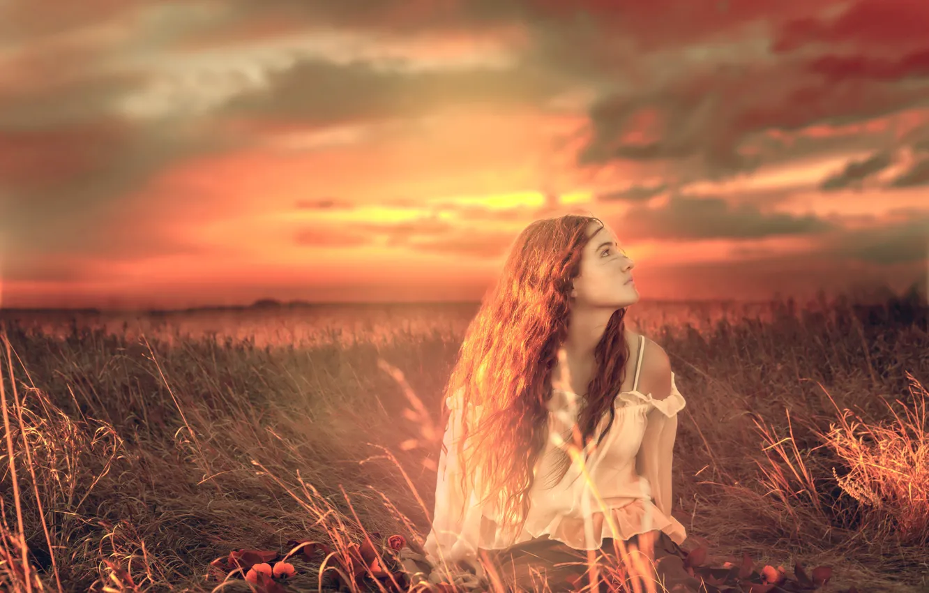 Фото обои трава, девушка, облака, закат, настроение, луг