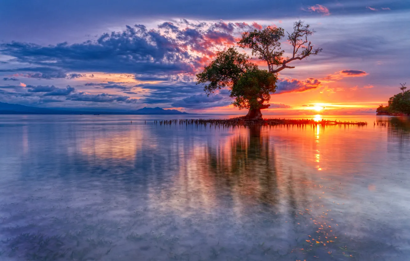 Фото обои море, восход, дерево, рассвет, Индонезия