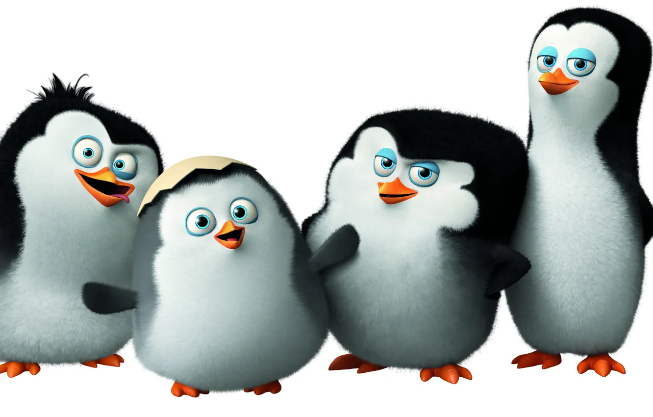Фото обои мультфильм, Classified, Penguins of Madagascar, пингвины Мадагаскара