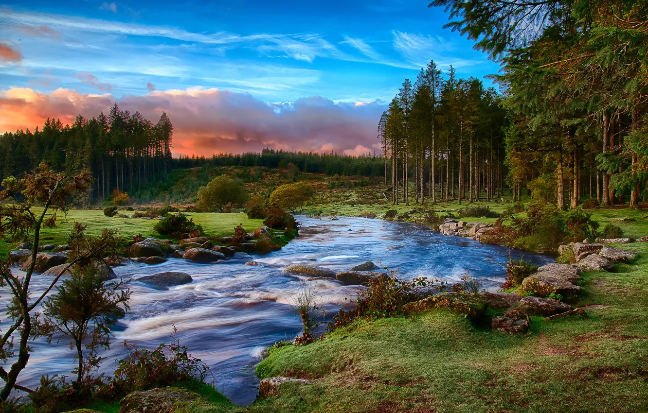 Фото обои лес, облака, река, утро, графство Девон, национальный парк Дартмур, Юго-Западная Англия