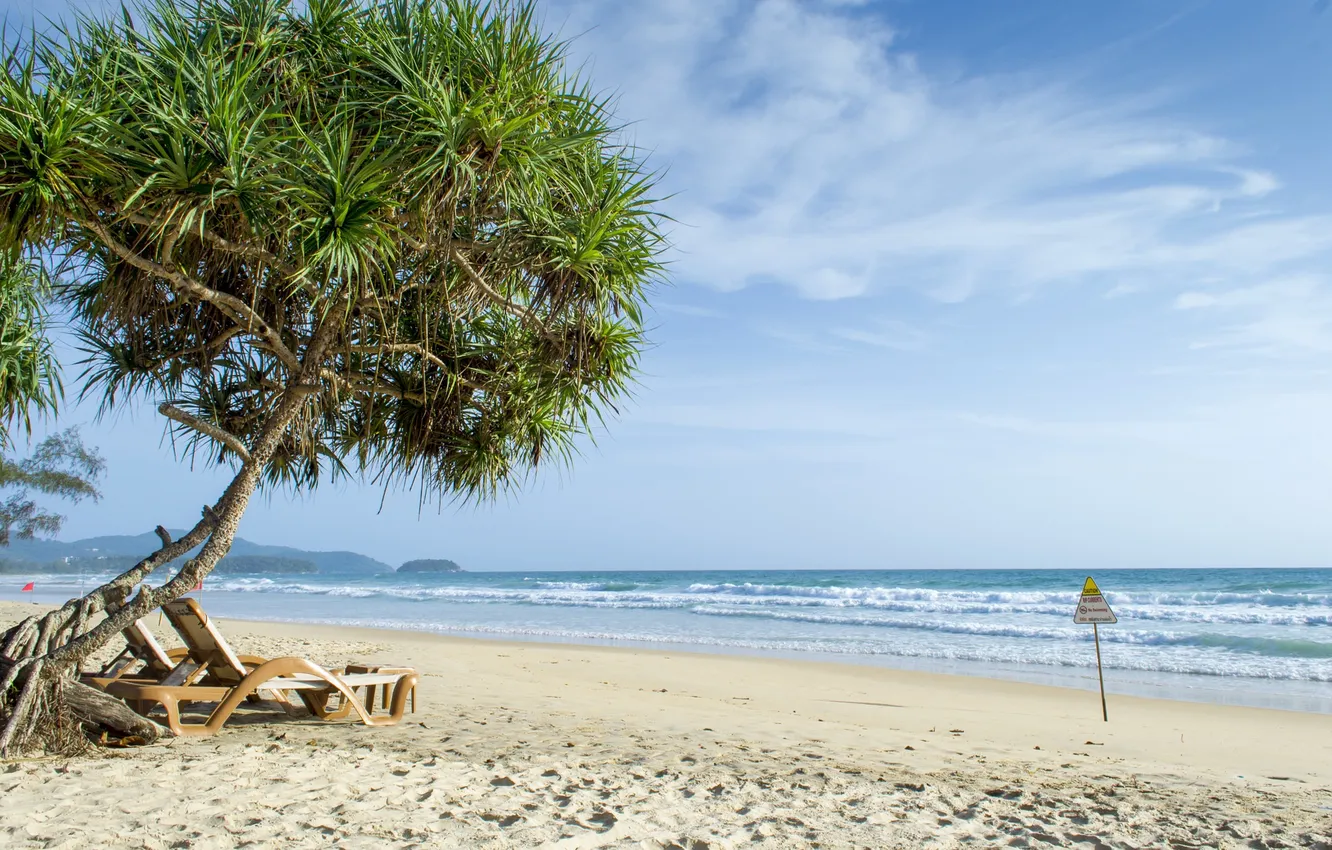 Фото обои море, волны, пляж, дерево, знак