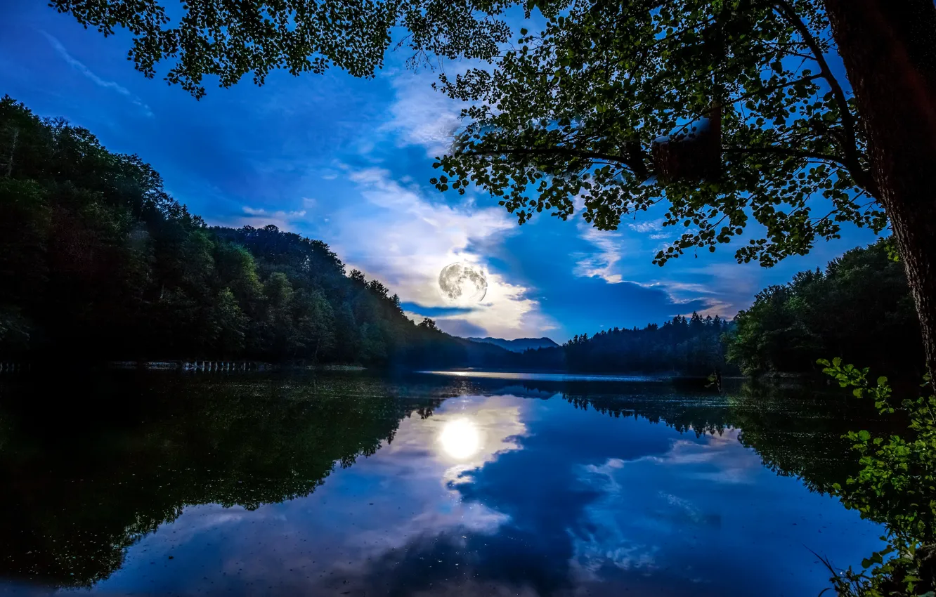 Фото обои лес, небо, облака, свет, деревья, ночь, отражение, река