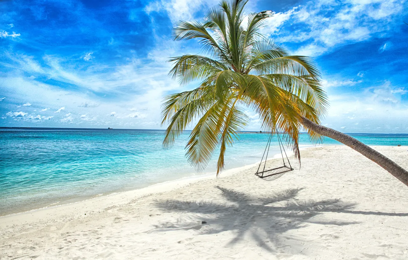 Фото обои песок, море, пляж, солнце, пальмы, качели, берег, summer