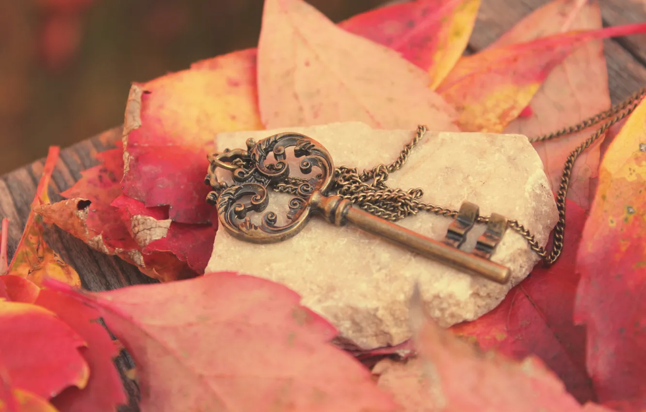 Фото обои осень, листья, металл, камень, ключ, красные, доска, цепочка