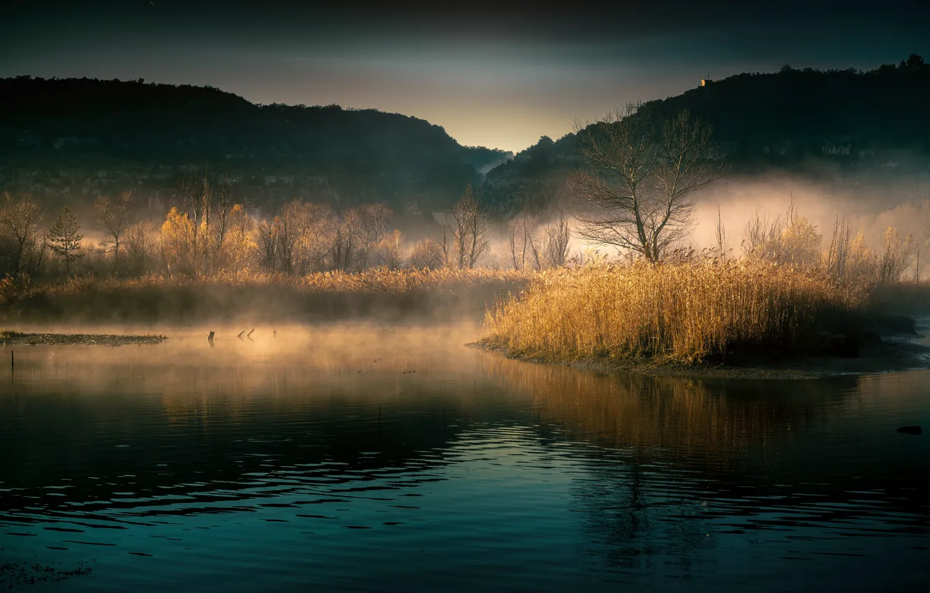 Фото обои осень, трава, свет, деревья, туман, отражение, холмы, утро