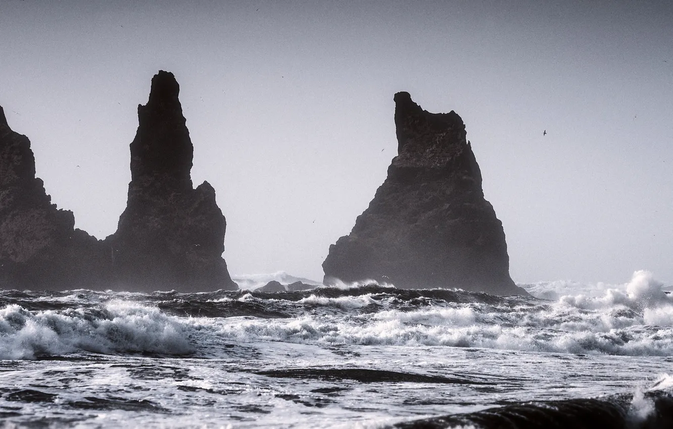 Фото обои waves, sea, rocks, seagulls, troubled sea