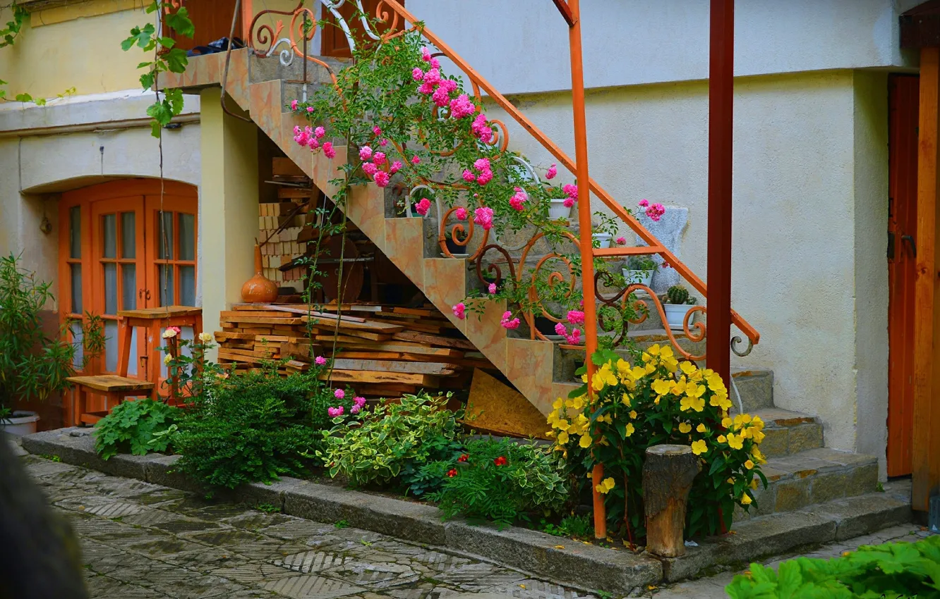 Фото обои Цветы, Лестница, Дом, Flowers, Colors, Двор