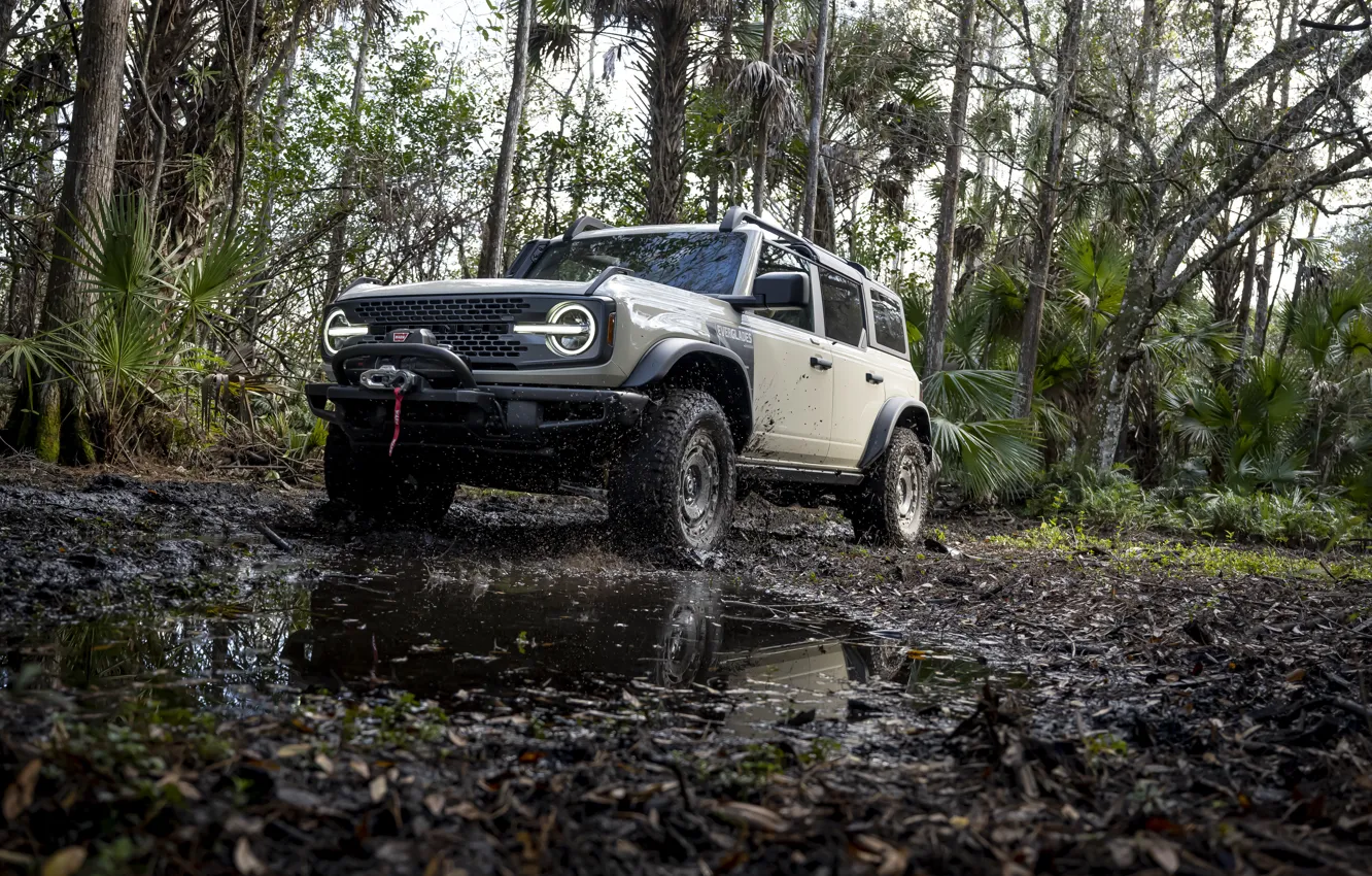 Фото обои Ford, Деревья, Грязь, Внедорожник, SUV, Sport utility vehicles, Спортивный внедорожник, Ford Bronco Everglades special edition