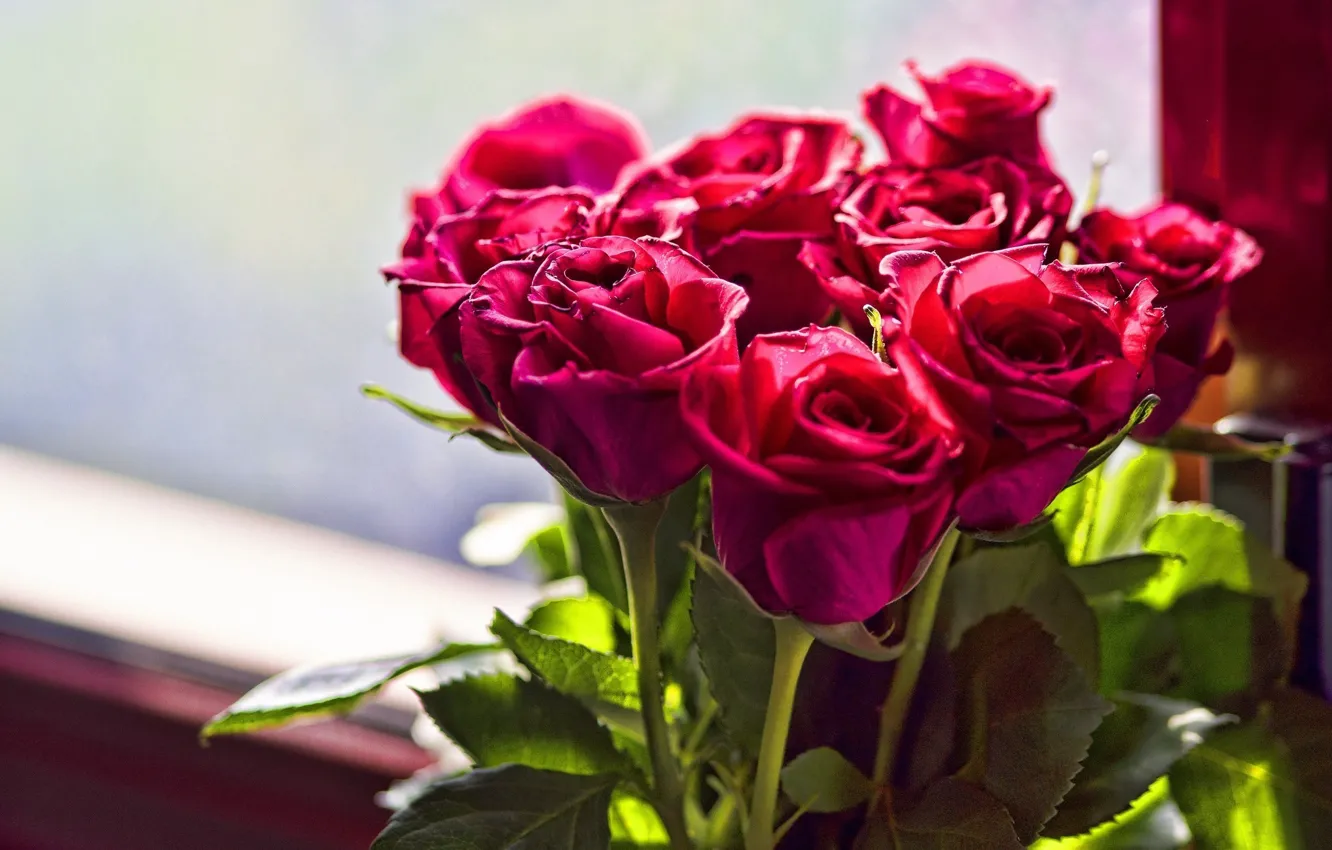 Фото обои цветы, розы, букет, алые