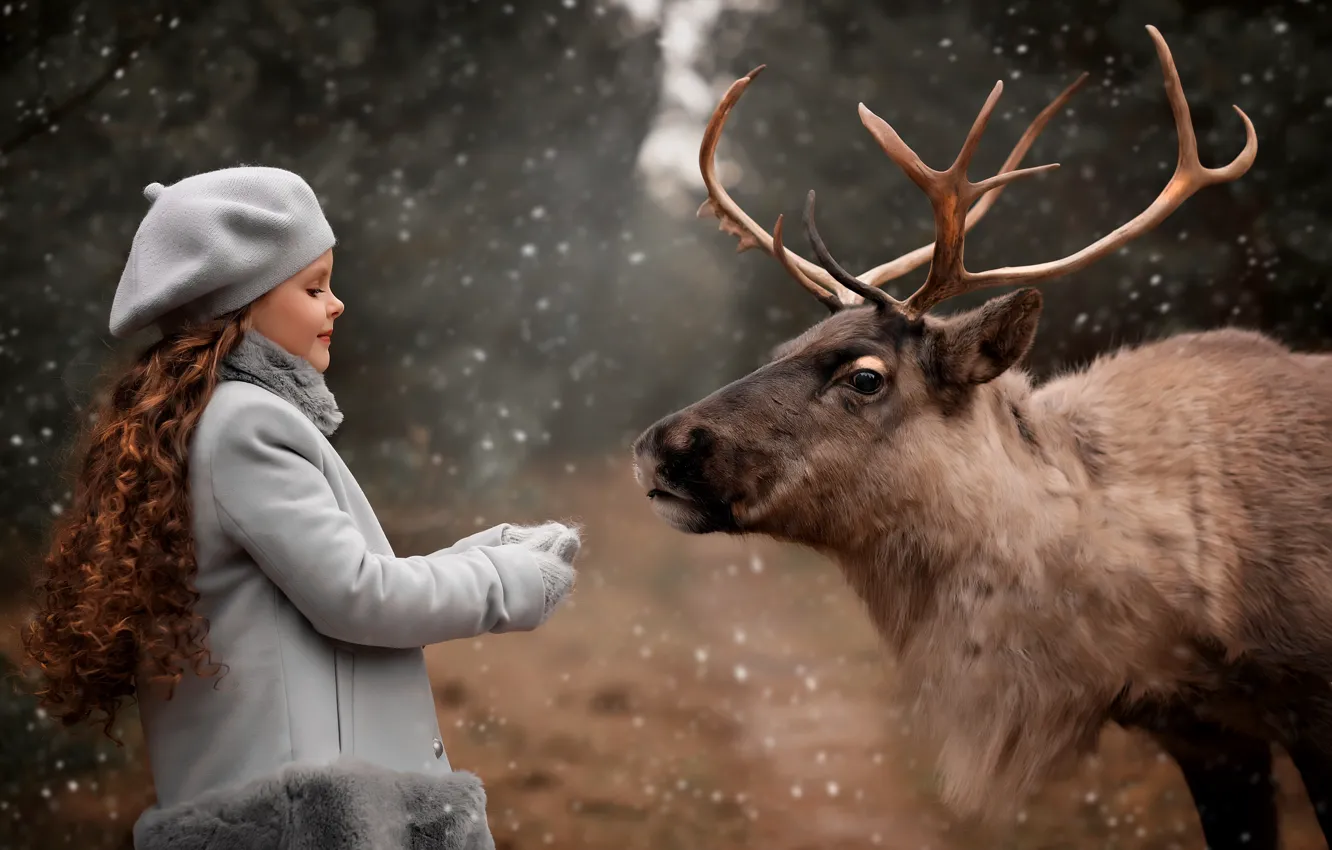 Фото обои снег, природа, животное, олень, девочка, Валентина Ермилова