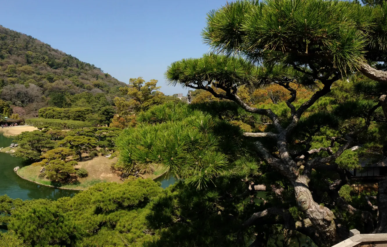Фото обои зелень, деревья, Япония, сад, водоем, Takamatsu, Ritsurin garden