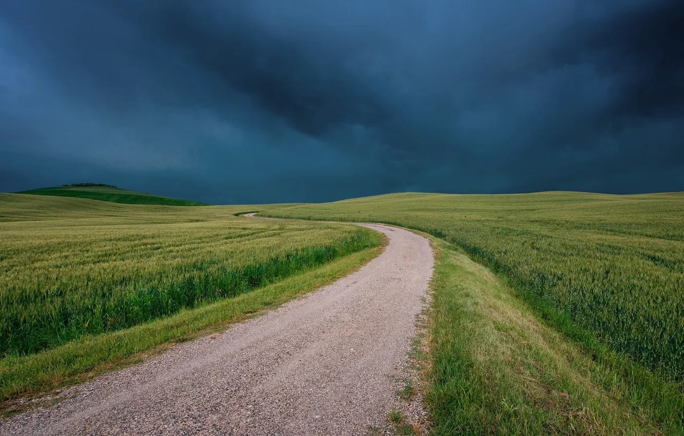Фото обои дорога, поле, трава, тучи, непогода