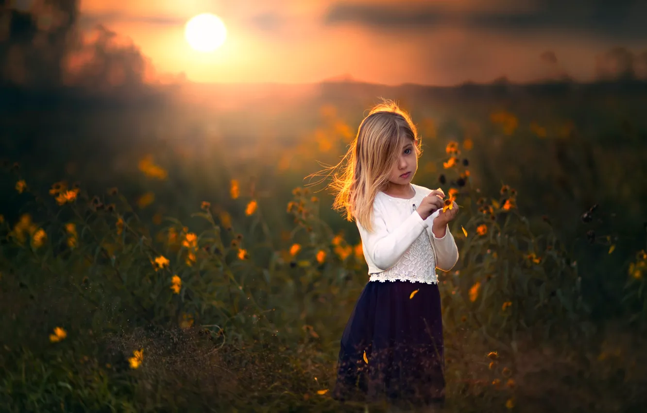 Фото обои поле, закат, цветы, девочка