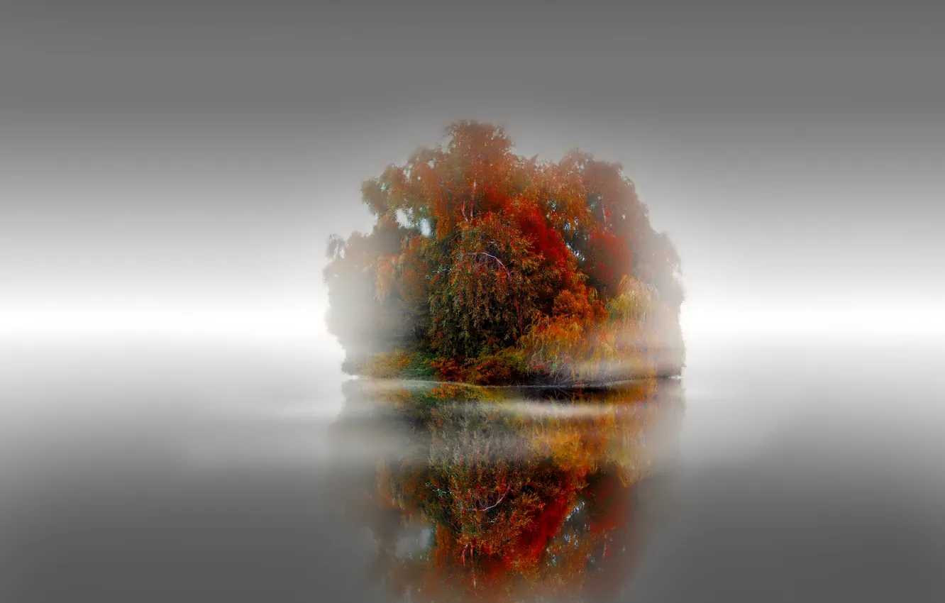 Фото обои осень, деревья, туман, озеро, остров