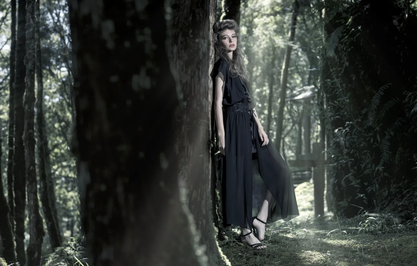 Фото обои лес, взгляд, девушка, стиль, дерево, в лесу