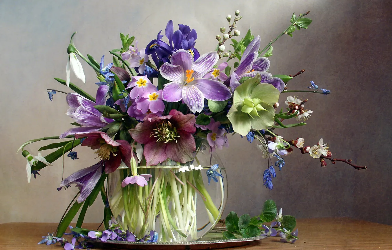 Фото обои цветы, ветки, стол, крокусы, ваза, первоцветы, поднос, морозник
