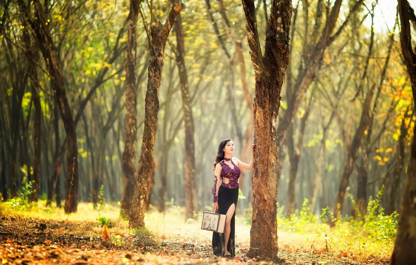 Фото обои взгляд, девушка, деревья, азиатка