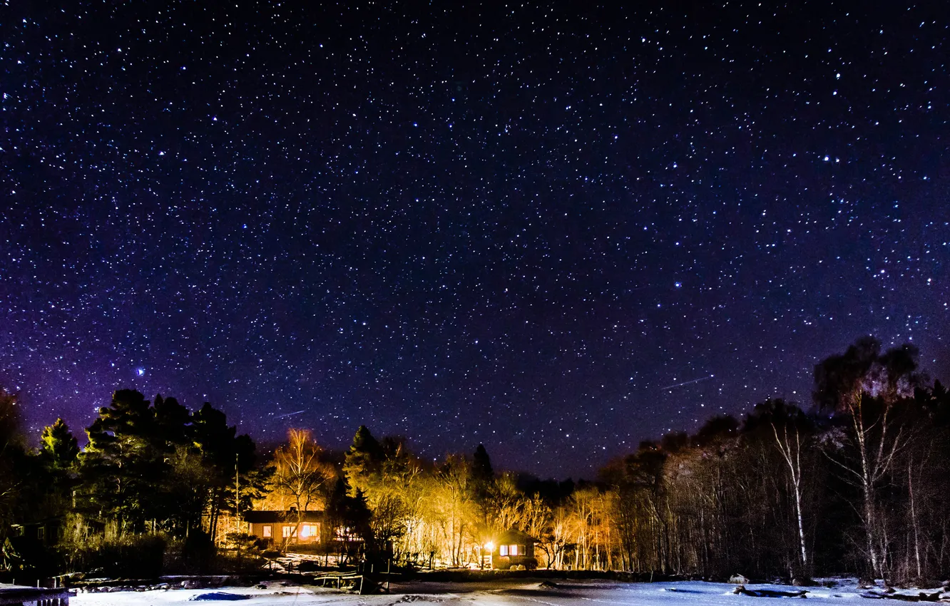 Фото обои зима, небо, звезды, деревья, ночь, дома, освещение