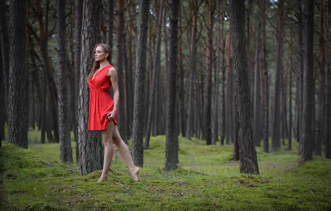Фото обои лес, девушка, танец, в красном, Magda, Polish forest