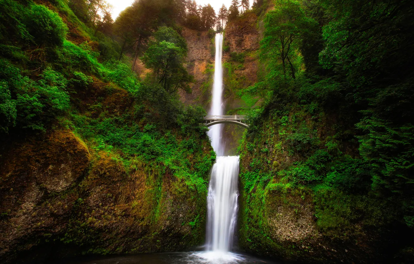 Фото обои зелень, деревья, пейзаж, мост, скала, река, водопад, поток